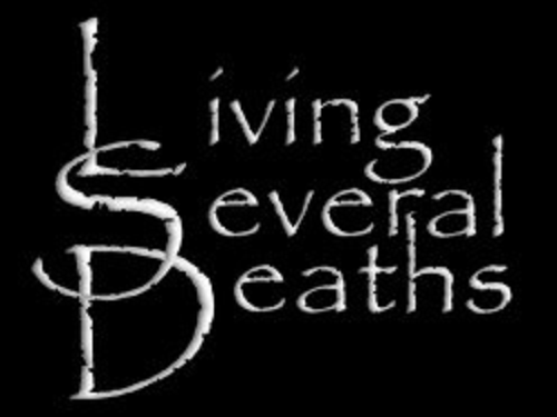 LSD - Orientation to World Domination