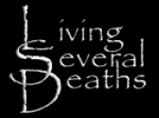 LSD - Orientation to World Domination